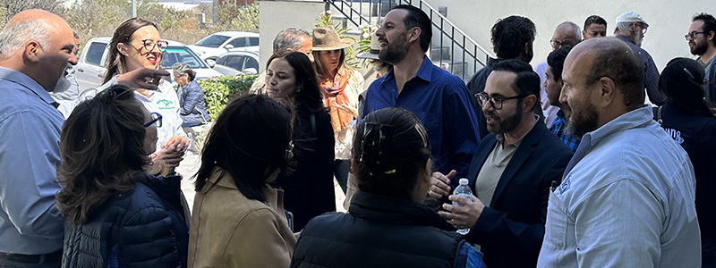 Networking estratégico